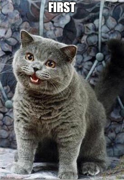 I can has cheezburger cat | FIRST | image tagged in i can has cheezburger cat | made w/ Imgflip meme maker