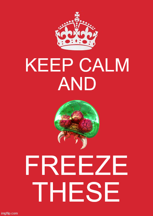Keep Calm And Carry On Red | KEEP CALM
AND; FREEZE THESE | image tagged in memes,keep calm and carry on red,metroid,ice | made w/ Imgflip meme maker