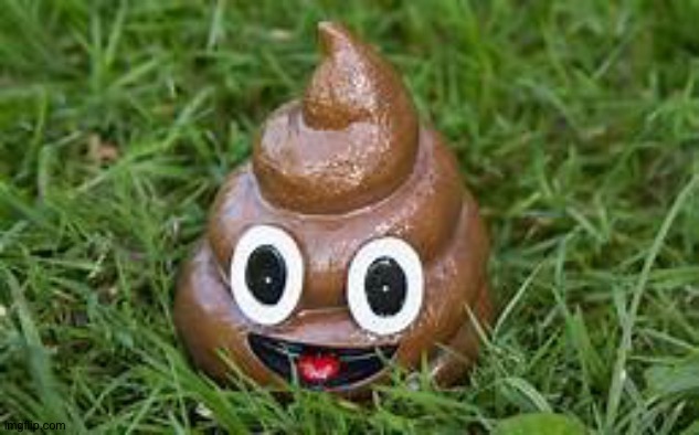 Poop | image tagged in poop | made w/ Imgflip meme maker