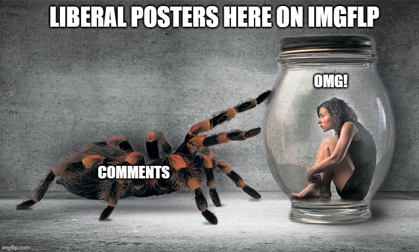 Snowflakes can't risk criticims | LIBERAL POSTERS HERE ON IMGFLP; OMG! COMMENTS | image tagged in fear,liberals,woke,democrats,leftists,cowards | made w/ Imgflip meme maker