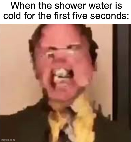 Somebody help | When the shower water is cold for the first five seconds: | image tagged in dwight screaming,memes,funny,true story,relatable memes,shower | made w/ Imgflip meme maker