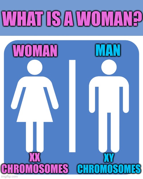 God settles this once and for all | WHAT IS A WOMAN? MAN; WOMAN; XX CHROMOSOMES; XY CHROMOSOMES | image tagged in restroom sign,woman,man,pride | made w/ Imgflip meme maker