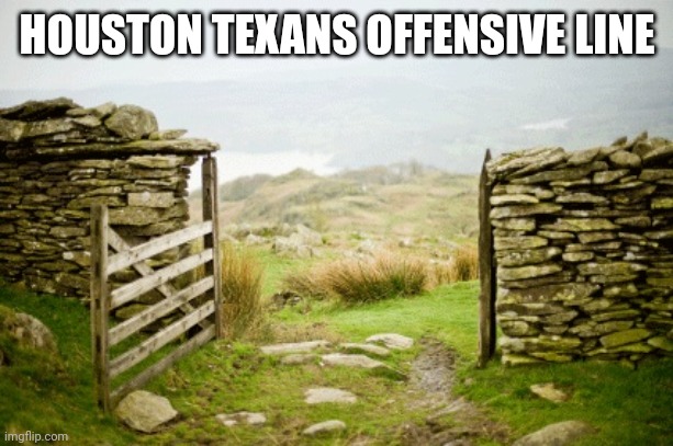 H TOWN REPRESENT! Part 1 | HOUSTON TEXANS OFFENSIVE LINE | image tagged in open gate | made w/ Imgflip meme maker