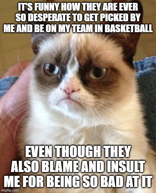 Basketball Injustice | IT'S FUNNY HOW THEY ARE EVER SO DESPERATE TO GET PICKED BY ME AND BE ON MY TEAM IN BASKETBALL; EVEN THOUGH THEY ALSO BLAME AND INSULT ME FOR BEING SO BAD AT IT | image tagged in memes,grumpy cat | made w/ Imgflip meme maker