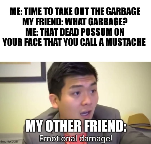 That mustache looks like a Dead possum on your face | ME: TIME TO TAKE OUT THE GARBAGE
MY FRIEND: WHAT GARBAGE?
ME: THAT DEAD POSSUM ON YOUR FACE THAT YOU CALL A MUSTACHE; MY OTHER FRIEND: | image tagged in emotional damage | made w/ Imgflip meme maker