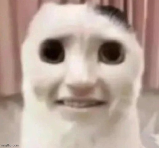 The | made w/ Imgflip meme maker