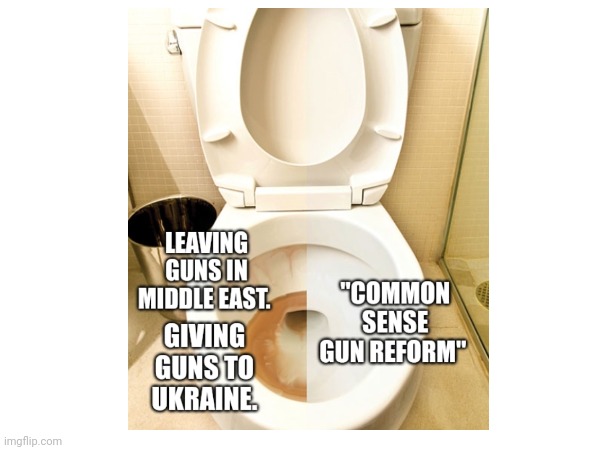 Common sense Gun reform | image tagged in toilet | made w/ Imgflip meme maker