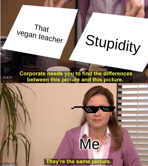 They're The Same Picture | That vegan teacher; Stupidity; Me | image tagged in memes,they're the same picture | made w/ Imgflip meme maker