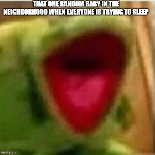 The most annoying thing ever | THAT ONE RANDOM BABY IN THE NEIGHBORHOOD WHEN EVERYONE IS TRYING TO SLEEP | image tagged in ahhhhhhhhhhhhh | made w/ Imgflip meme maker