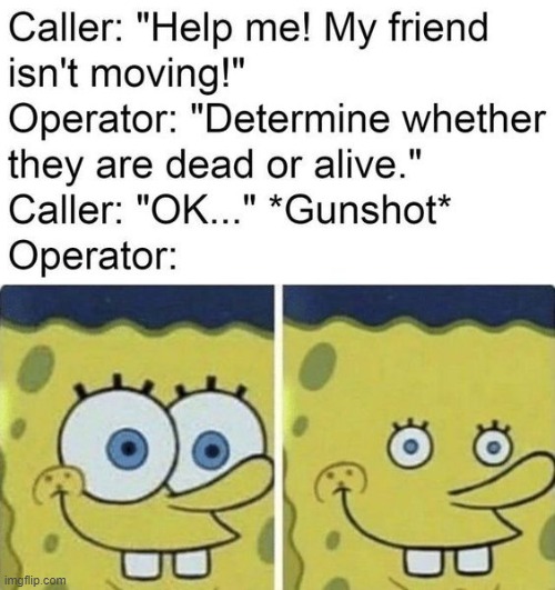 image tagged in memes | made w/ Imgflip meme maker
