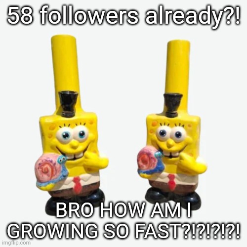 spongebong me boy | 58 followers already?! BRO HOW AM I GROWING SO FAST?!?!?!?! | image tagged in spongebong me boy | made w/ Imgflip meme maker