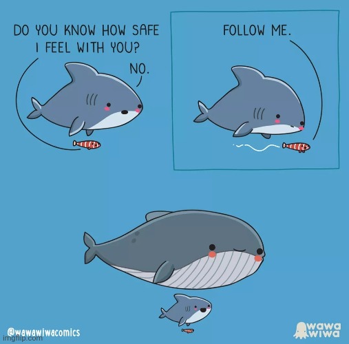 Safety | image tagged in safe,follow,fish,wholesome,comics,comics/cartoons | made w/ Imgflip meme maker