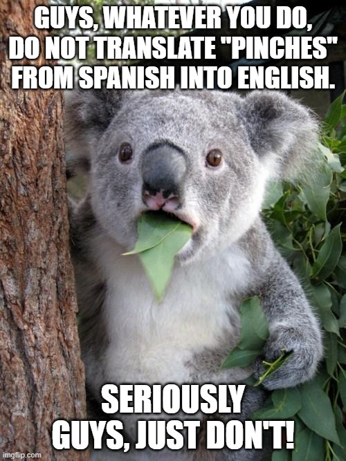 Surprised Koala Meme | GUYS, WHATEVER YOU DO, DO NOT TRANSLATE "PINCHES" FROM SPANISH INTO ENGLISH. SERIOUSLY GUYS, JUST DON'T! | image tagged in memes,surprised koala,google translate,spanish,do not translate,english | made w/ Imgflip meme maker