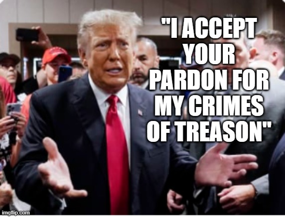 Trump accepts pardon for treason | "I ACCEPT YOUR PARDON FOR MY CRIMES OF TREASON" | image tagged in trump pleading,pardon,republican,guilty,sedition,pedophile | made w/ Imgflip meme maker