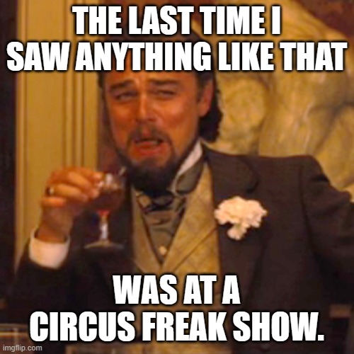 Laughing Leo Meme | THE LAST TIME I SAW ANYTHING LIKE THAT WAS AT A CIRCUS FREAK SHOW. | image tagged in memes,laughing leo | made w/ Imgflip meme maker