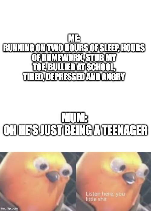 he's just being a teenager | ME:
RUNNING ON TWO HOURS OF SLEEP, HOURS OF HOMEWORK, STUB MY TOE, BULLIED AT SCHOOL, TIRED, DEPRESSED AND ANGRY; MUM: 
OH HE'S JUST BEING A TEENAGER | image tagged in listen here you little shit bird | made w/ Imgflip meme maker