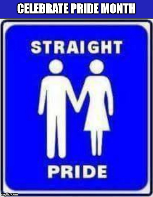 CELEBRATE PRIDE MONTH | image tagged in straight pride | made w/ Imgflip meme maker
