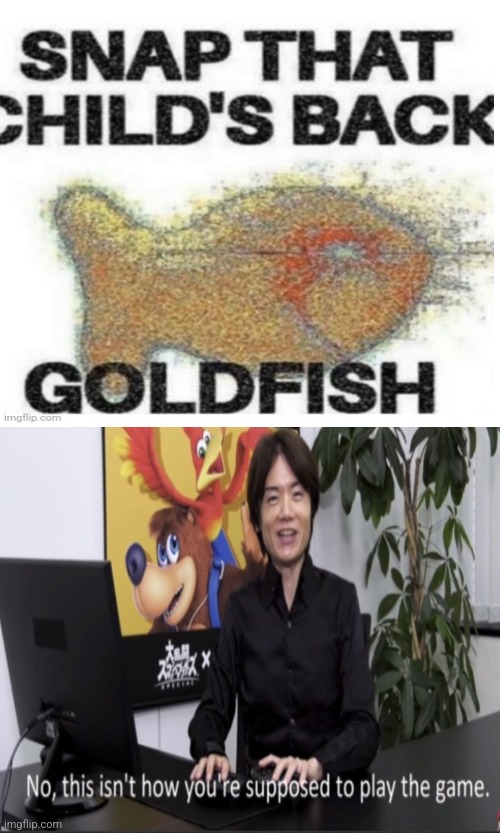 SNAP IT RIGHT NOW | image tagged in no this isn't how you're supposed to play the game,goldfish | made w/ Imgflip meme maker