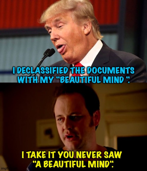 "Beautiful Mind"? | I DECLASSIFIED THE DOCUMENTS WITH MY "BEAUTIFUL MIND ". I TAKE IT YOU NEVER SAW 
"A BEAUTIFUL MIND". | image tagged in stupid trump,jake from state farm | made w/ Imgflip meme maker