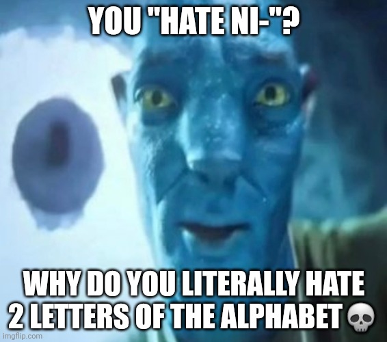 Avatar guy | YOU "HATE NI-"? WHY DO YOU LITERALLY HATE 2 LETTERS OF THE ALPHABET💀 | image tagged in avatar guy | made w/ Imgflip meme maker