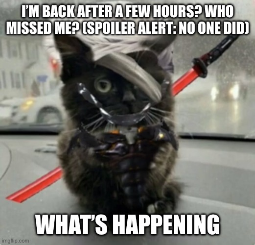 Doktor, Turn Off My Cute Inhibitors! | I’M BACK AFTER A FEW HOURS? WHO MISSED ME? (SPOILER ALERT: NO ONE DID); WHAT’S HAPPENING | image tagged in raiden cat | made w/ Imgflip meme maker