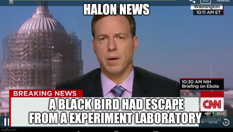 News Meme | HALON NEWS; A BLACK BIRD HAD ESCAPE FROM A EXPERIMENT LABORATORY | image tagged in cnn breaking news template | made w/ Imgflip meme maker