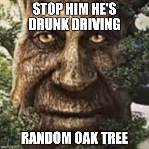 Mem | STOP HIM HE'S DRUNK DRIVING; RANDOM OAK TREE | image tagged in old wise oak tree | made w/ Imgflip meme maker