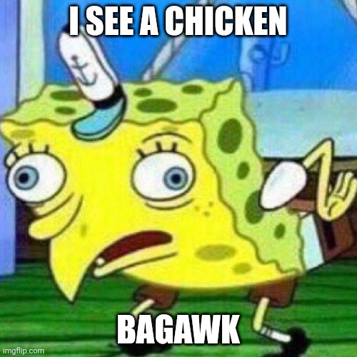 Bagawk | I SEE A CHICKEN; BAGAWK | image tagged in triggerpaul,boodleboy | made w/ Imgflip meme maker