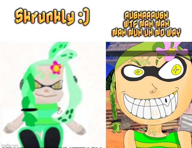 Skrunkly :) AUGHAAAUGH WTF NAH NAH NAH NUH UH NO WAY | image tagged in text box r,low quality image of a mint houzuki plush,kill remastered | made w/ Imgflip meme maker