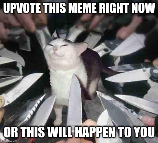Knife Cat | UPVOTE THIS MEME RIGHT NOW; OR THIS WILL HAPPEN TO YOU | image tagged in knife cat | made w/ Imgflip meme maker
