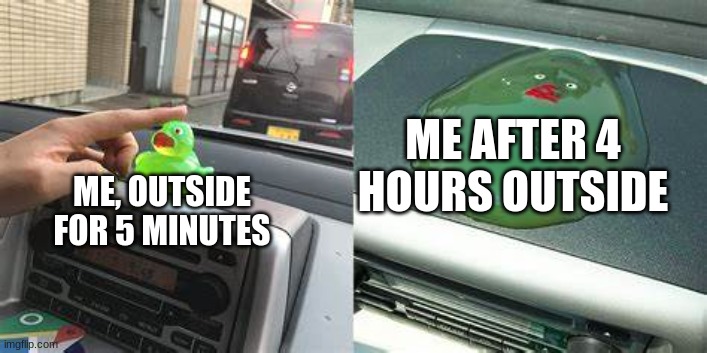 If you are Mexican, You can relate. | ME AFTER 4 HOURS OUTSIDE; ME, OUTSIDE FOR 5 MINUTES | image tagged in before after | made w/ Imgflip meme maker