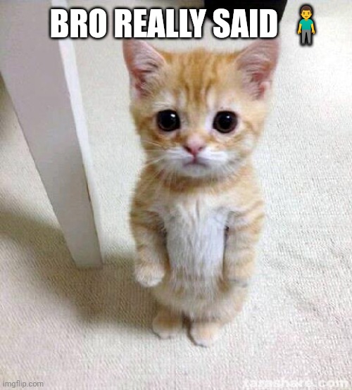 Ah yes a ca - wait what | BRO REALLY SAID 🧍‍♂️ | image tagged in memes,cute cat | made w/ Imgflip meme maker