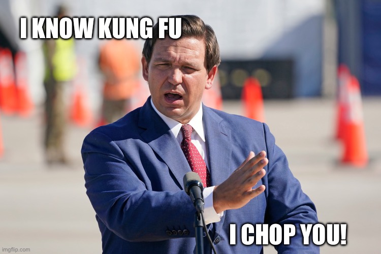 Governor Ron DeSantis | I KNOW KUNG FU I CHOP YOU! | image tagged in governor ron desantis | made w/ Imgflip meme maker