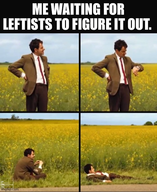 Mr bean waiting | ME WAITING FOR LEFTISTS TO FIGURE IT OUT. | image tagged in mr bean waiting | made w/ Imgflip meme maker