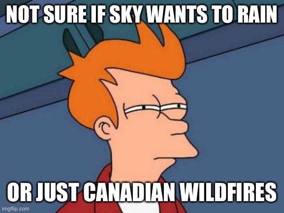 Futurama Fry Meme | NOT SURE IF SKY WANTS TO RAIN; OR JUST CANADIAN WILDFIRES | image tagged in memes,futurama fry | made w/ Imgflip meme maker