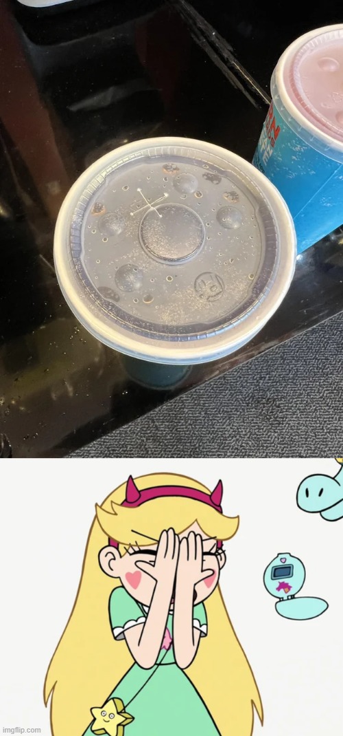 image tagged in star butterfly severe facepalm,you had one job,memes,star vs the forces of evil | made w/ Imgflip meme maker