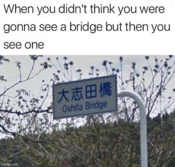 image tagged in bridge | made w/ Imgflip meme maker