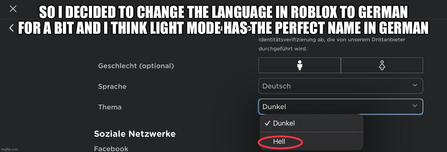SO I DECIDED TO CHANGE THE LANGUAGE IN ROBLOX TO GERMAN FOR A BIT AND I THINK LIGHT MODE HAS THE PERFECT NAME IN GERMAN | made w/ Imgflip meme maker