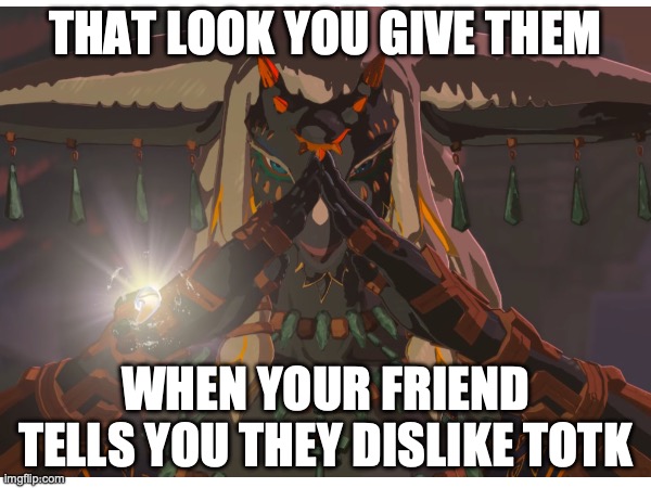 That look you give your friend when they tell you they dislike totk | THAT LOOK YOU GIVE THEM; WHEN YOUR FRIEND TELLS YOU THEY DISLIKE TOTK | image tagged in tears of the kingdom,zelda,rauru,legend of zelda,the legend of zelda | made w/ Imgflip meme maker
