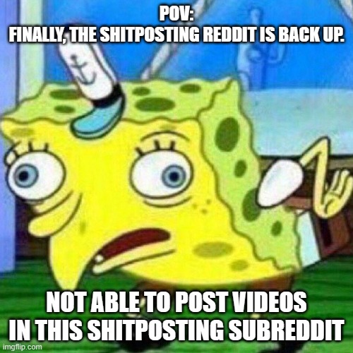 Shit | POV:
FINALLY, THE SHITPOSTING REDDIT IS BACK UP. NOT ABLE TO POST VIDEOS IN THIS SHITPOSTING SUBREDDIT | image tagged in triggerpaul | made w/ Imgflip meme maker