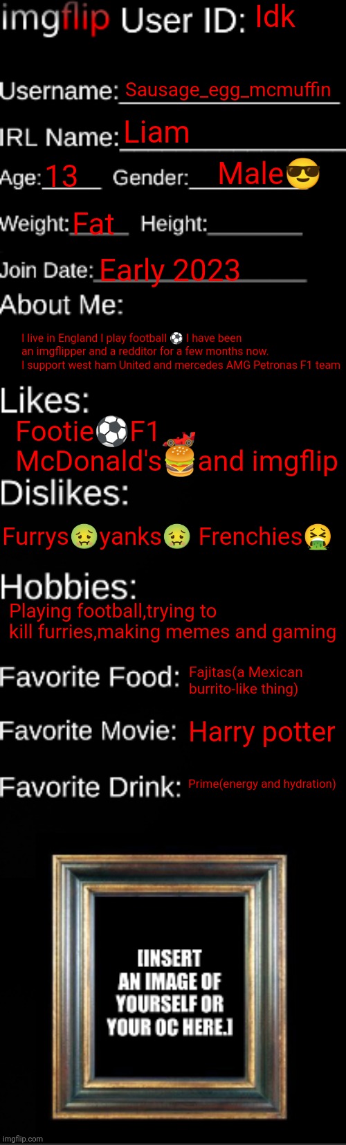 You now know the info about the (not) famous imgflipper | Idk; Sausage_egg_mcmuffin; Liam; Male😎; 13; Fat; Early 2023; I live in England I play football ⚽ I have been an imgflipper and a redditor for a few months now. I support west ham United and mercedes AMG Petronas F1 team; Footie⚽F1🏎️ McDonald's🍔and imgflip; Furrys🤢yanks🤢 Frenchies🤮; Playing football,trying to kill furries,making memes and gaming; Fajitas(a Mexican burrito-like thing); Harry potter; Prime(energy and hydration) | image tagged in imgflip id card,bio | made w/ Imgflip meme maker