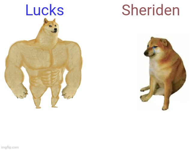 Lucks is awesome | Lucks; Sheriden | image tagged in memes,buff doge vs cheems,meta runner | made w/ Imgflip meme maker