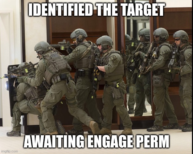 FBI SWAT | IDENTIFIED THE TARGET AWAITING ENGAGE PERM | image tagged in fbi swat | made w/ Imgflip meme maker