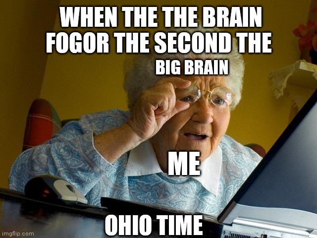 Grandma Finds The Internet | WHEN THE THE BRAIN FOGOR THE SECOND THE; BIG BRAIN; ME; OHIO TIME | image tagged in memes,grandma finds the internet,me when the the | made w/ Imgflip meme maker
