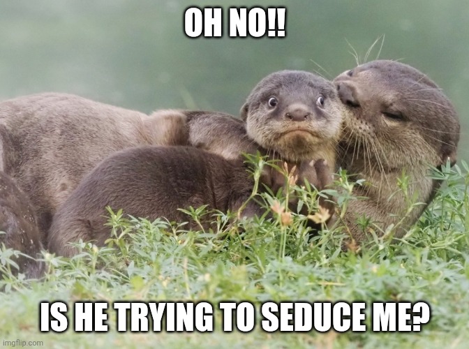 Otter kiss | OH NO!! IS HE TRYING TO SEDUCE ME? | image tagged in otter kiss | made w/ Imgflip meme maker