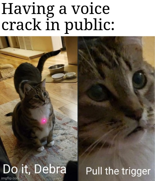 do it debra, pull the trigger | Having a voice crack in public: | image tagged in do it debra pull the trigger | made w/ Imgflip meme maker