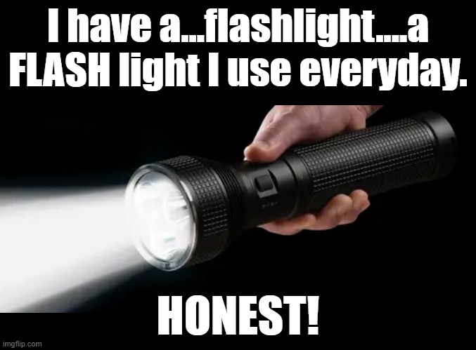 Daily Flashlight use | I have a...flashlight....a FLASH light I use everyday. HONEST! | image tagged in pun,flashlight | made w/ Imgflip meme maker