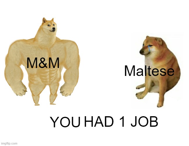 Buff Doge vs. Cheems Meme | M&M Maltese YOU HAD 1 JOB | image tagged in memes,buff doge vs cheems | made w/ Imgflip meme maker