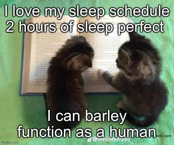 Your life is mine | I love my sleep schedule 2 hours of sleep perfect; I can barley function as a human | image tagged in your life is mine | made w/ Imgflip meme maker