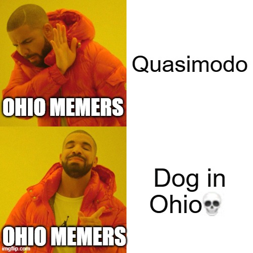 Why it's like this- | Quasimodo; OHIO MEMERS; Dog in Ohio; OHIO MEMERS | image tagged in memes,drake hotline bling,funny,funny memes | made w/ Imgflip meme maker